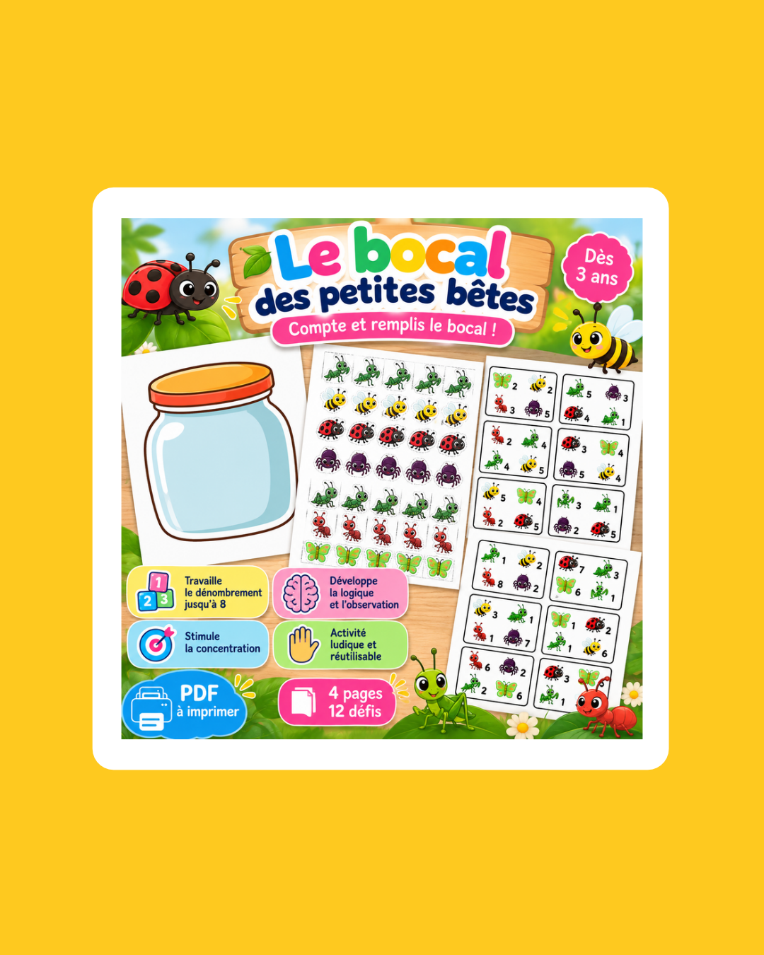 🐝 Le bocal des petites bêtes - Support