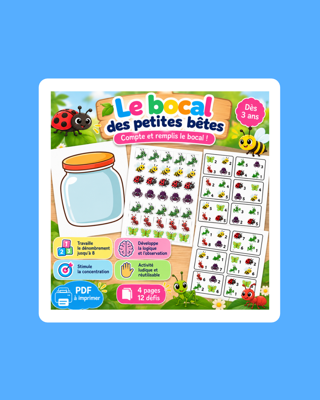 🐝 Le bocal des petites bêtes